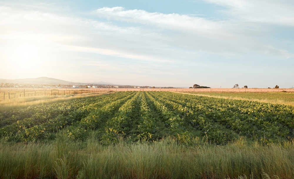 Agriculture