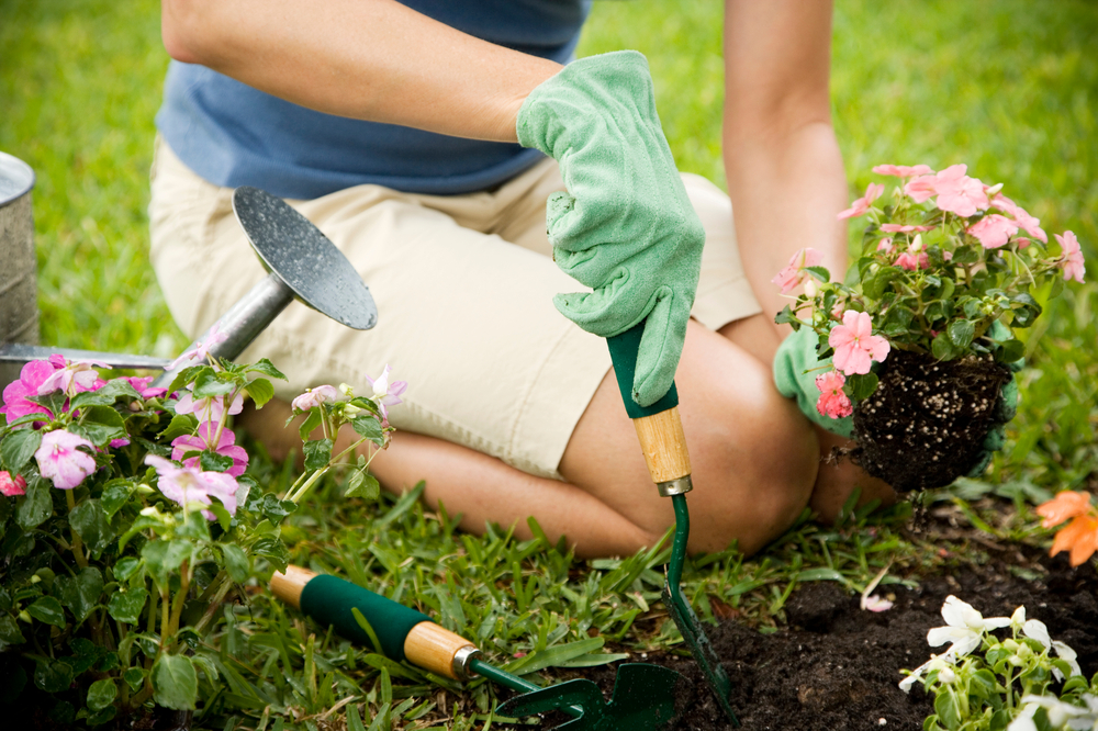 Get Better At Gardening