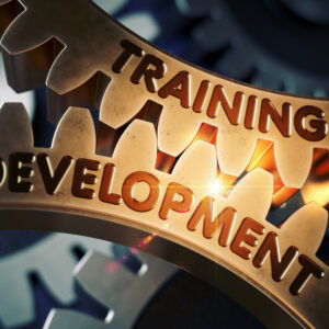 |OTC: Certificate in Training and Development &ndash; 12 weeks
