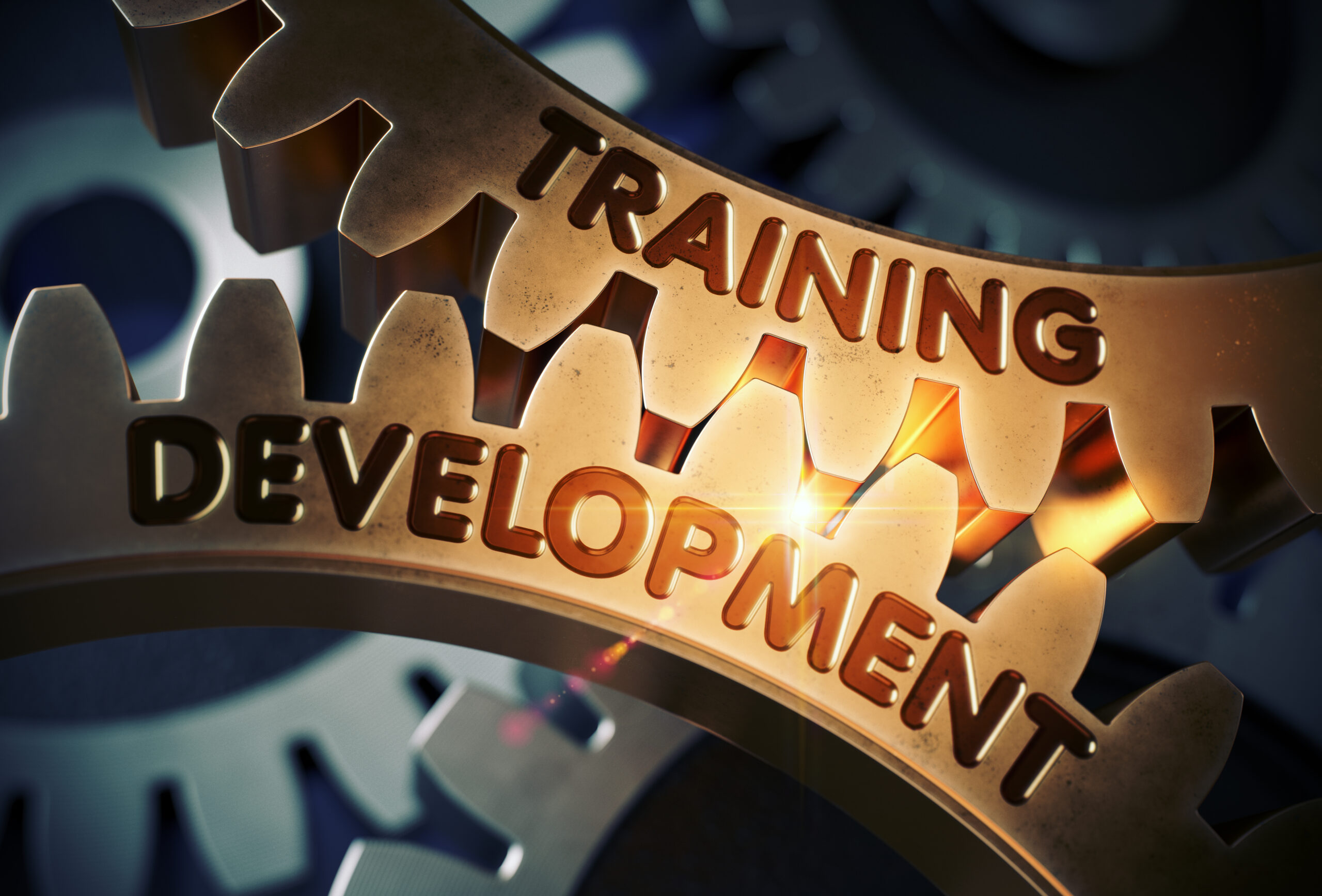 |OTC: Certificate in Training and Development &ndash; 12 weeks