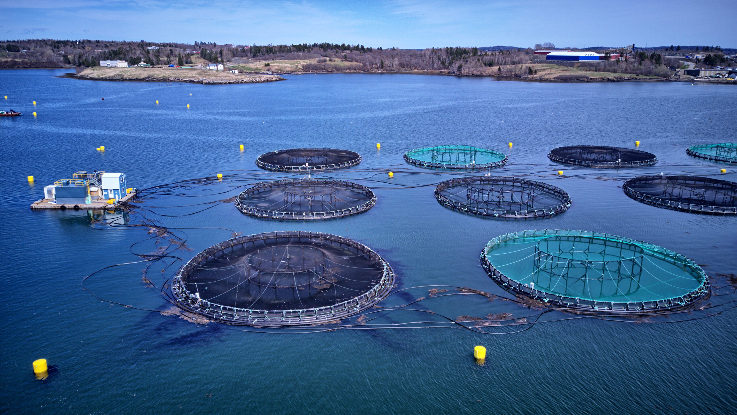 aquaculture courses