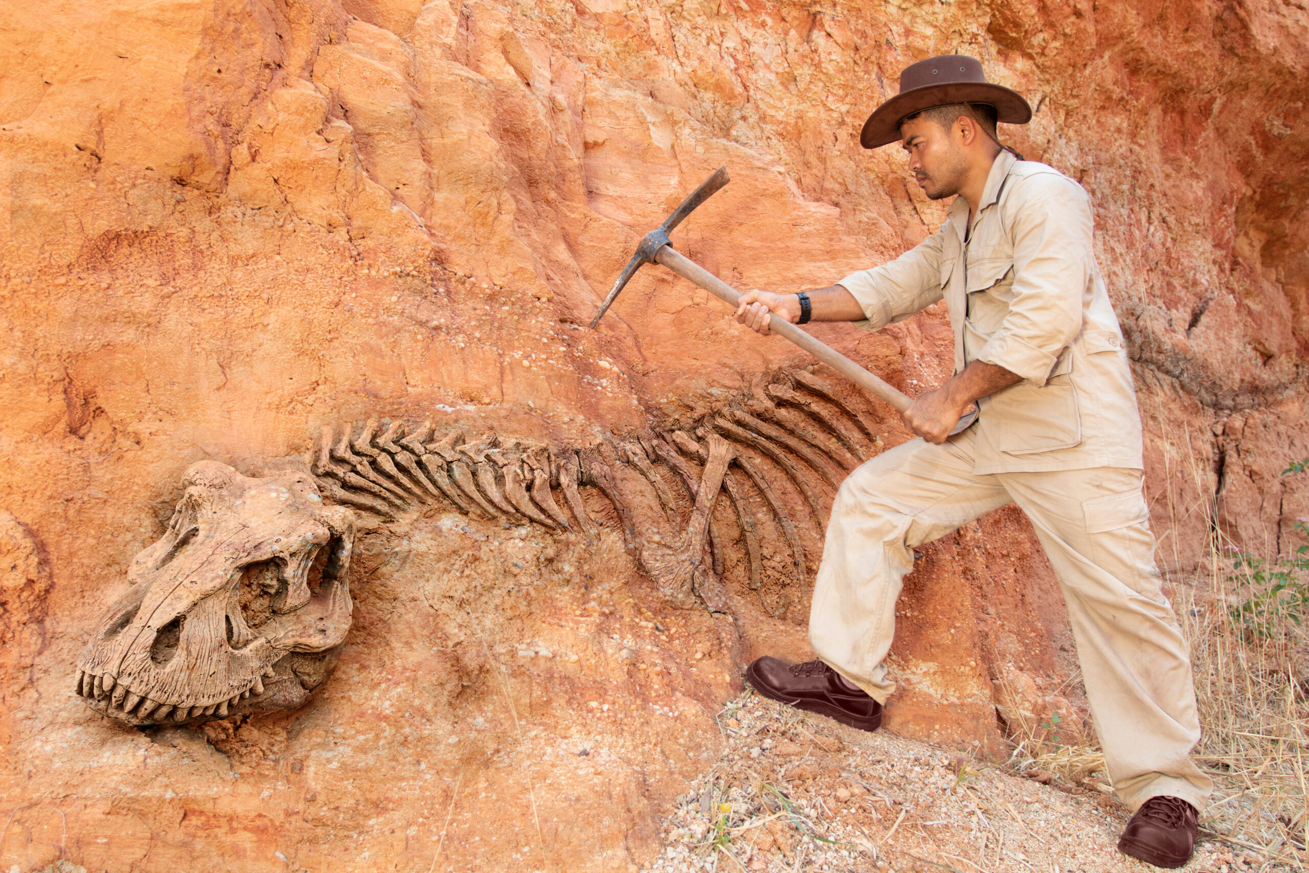 archaeology courses