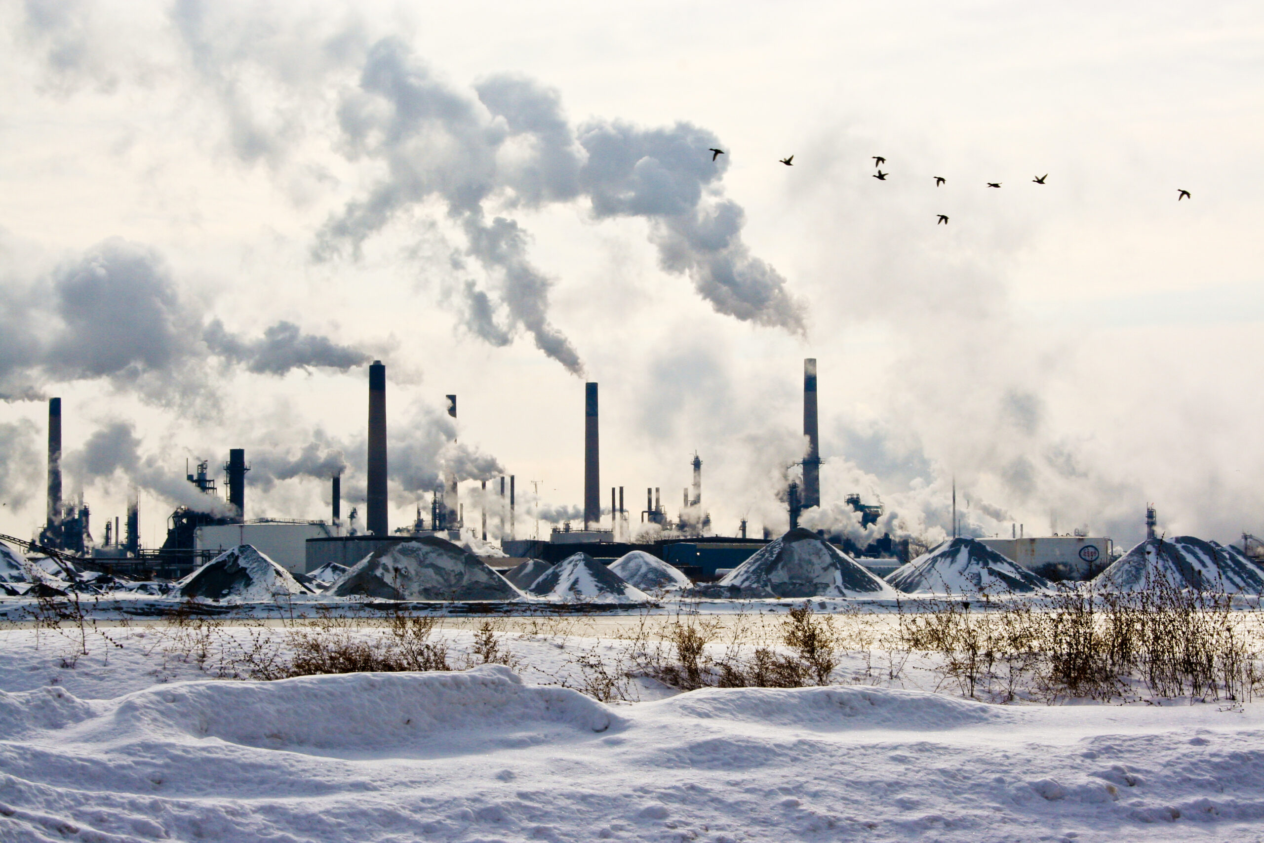 environmental science