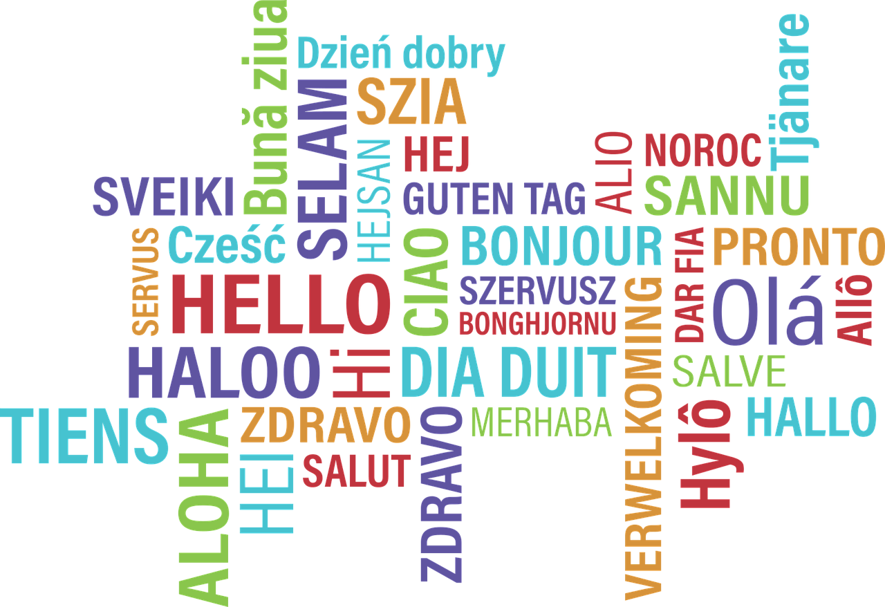 Languages Unlimited Services