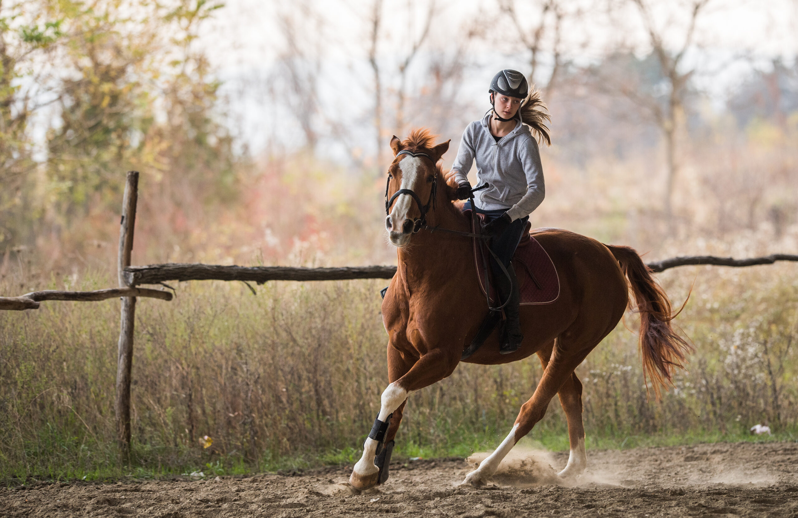 horse riding classes