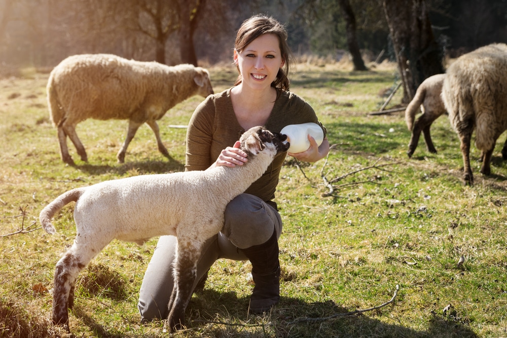 Animal Care Training Courses
