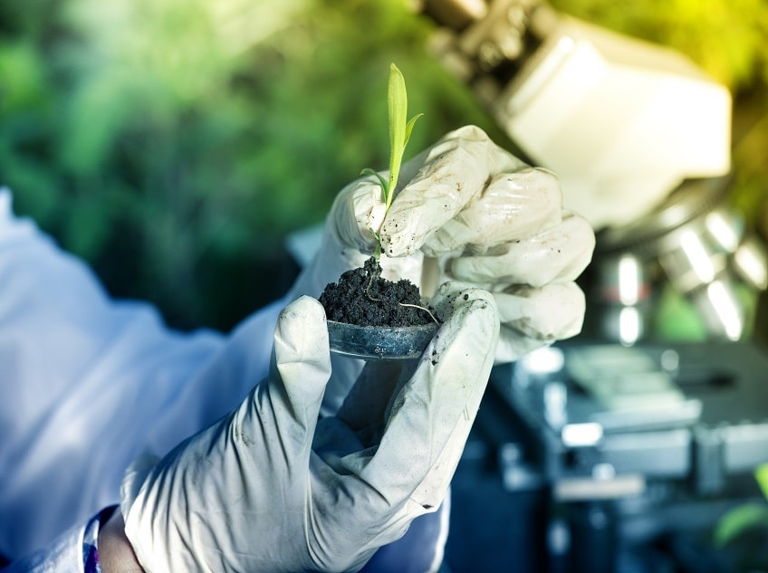 Horticulture Courses