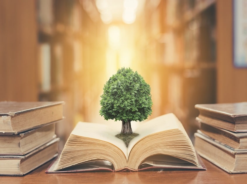 Philosophy Courses