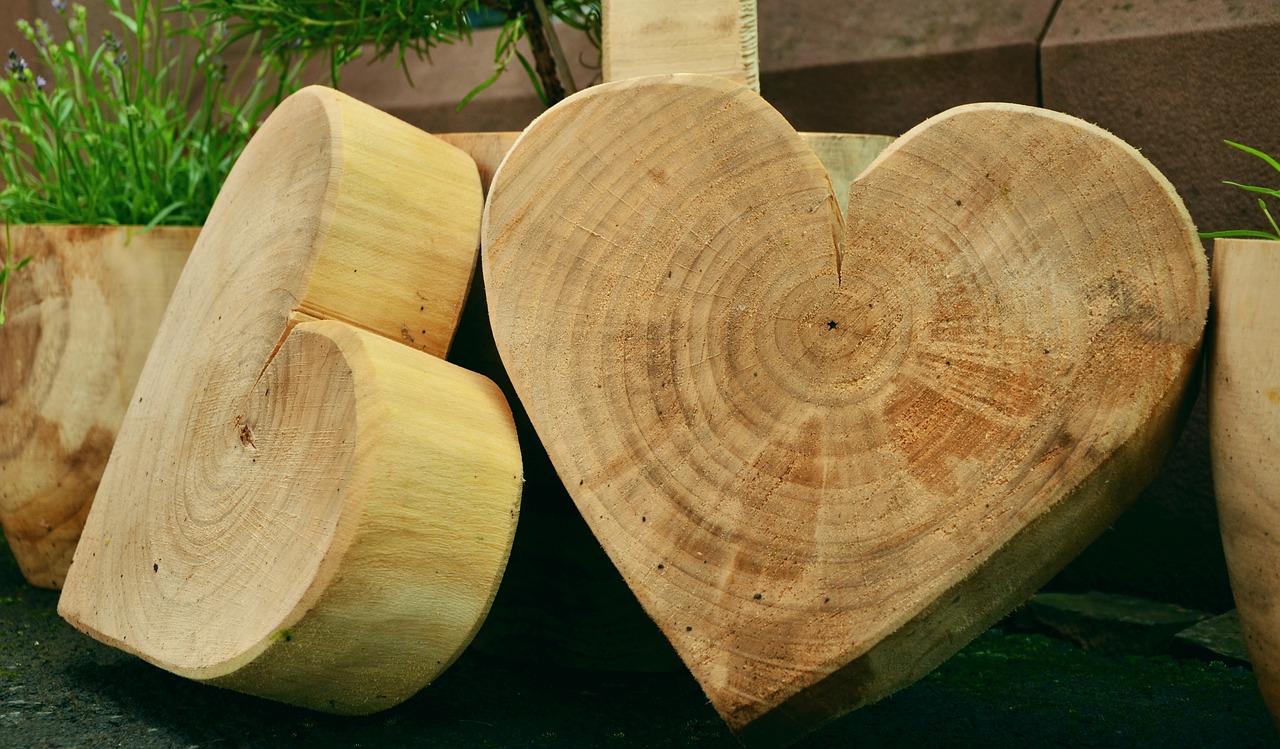 Woodwork Courses